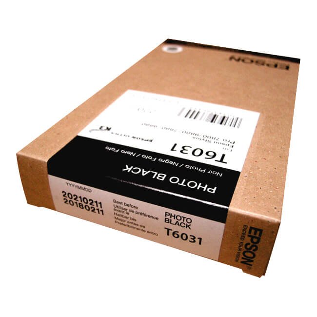 Tinta Epson T603100 original T6031 Photo Black